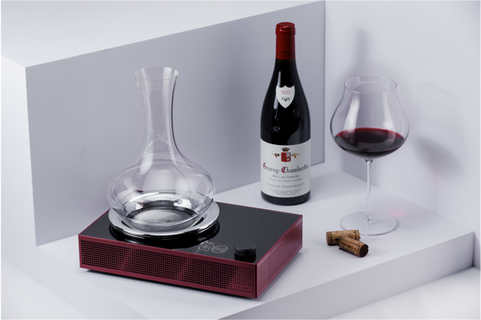 Titan - Raffreddatore wireless per decanter