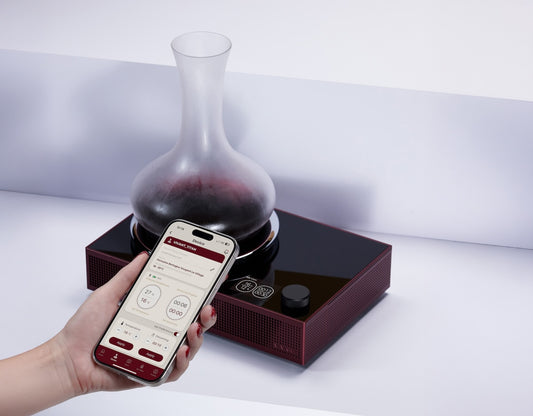 Titan - Raffreddatore wireless per decanter