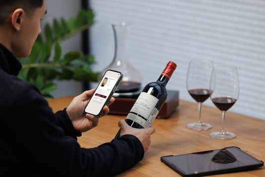 Titan - Raffreddatore wireless per decanter