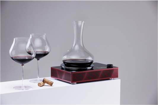 Titan - Raffreddatore wireless per decanter