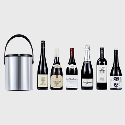 Lyra Silver Multi-Fit™ Bottle Chiller